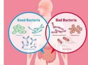 Transplantation MICROBIOTE FÉCAL Y-a-t-il super-donneurs