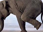 méditation, question d'équilibre