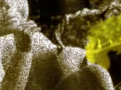 super pouvoirs l'urine