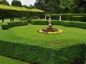 L’art topiaire comment sublimer nature