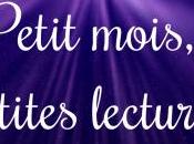 Bilan Challenge Petit mois, petites lectures 2019