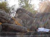 Conscience pure avec sans conscience