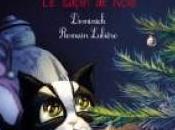 Petit Chaton, sapin Noël Dominik Romain Lubière