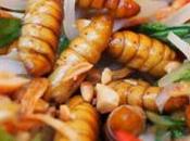 Manger insectes comestibles bientôt notre quotidien