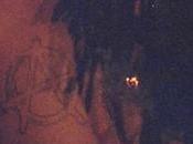 Deux sons Playboy Carti viennent leaker