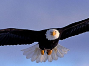 Seule pratique permet détendu