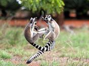 monde n'est qu'illusion, d'où viennent beauté richesse