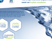 PLAIES EXSUDATIVES Tout vous avez toujours voulu savoir