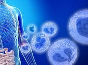 MICROBIOTE INTESTINAL bactéries indiquaient gènes qu'ils faire