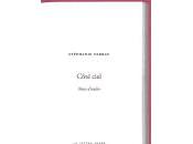 (Anthologie permanente) Stéphanie Ferrat, Côté ciel, notes d'atelier