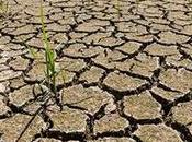 RAPPORT L'ONU biodiversité