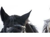 Game Thrones saison explosé scores d’audiences