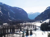 Wildcats Saison Québec