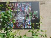 poudre yeux, Françoise Saur