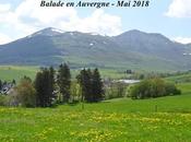Balade Auvergne