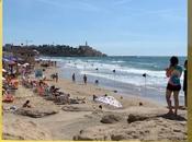 Eurovision 2019: Welcome Aviv!