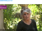 #PartiAnimaliste déshonore revendiquant soutien Brigitte Bardot #racisme #européennes2019
