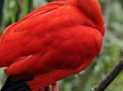 Parc oiseaux dans Dombe superbe idée d’excursion