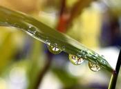 Comment valoriser l'eau pluie