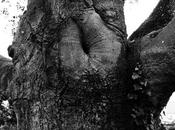 dissous dans l'infiniment grand