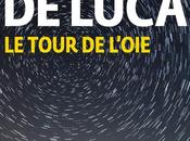 tour l'oie, d'Erri Luca