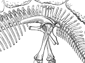 Patagonie intérieure paradis dinosaures [Actu]