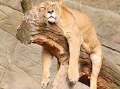 L'Autre Côté Sommeil