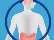 ALZHEIMER antibiotique pour traiter maladie