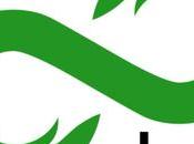 Après tuerie d’El Paso, 8chan perd soutien fournisseur Cloudflare créateur