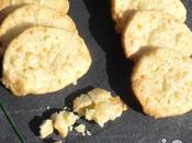 Biscuits apéritifs comté thermomix….ou