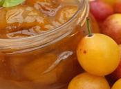 Recette facile confiture mirabelles thermomix
