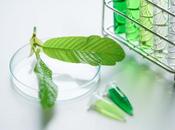 DOULEUR DÉPENDANCE kratom, supplément dangereux