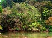 quatrième guerre mondiale commencé