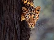 Pourquoi méditer mouvement