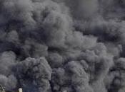 Quelques réflexions débotté démission Castaner Lubrizol doit payer, Trump perd pédales, causerie abeilles Muids