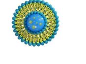 Maladies AUTO-IMMUNES Rebooter l'immunité, c'est possible