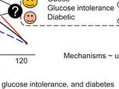 #trendsinendocrinolgyandmetabolism #GLP-1 #obésité Quel Réellement Rapport Entre GLP-1 Obésité
