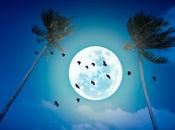 MYTHE RÉALITÉ Plus crimes pleine lune