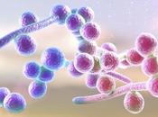 INFECTION Électrocuter bactéries collent implants