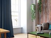 Craft beer Ouverture d'un hôtel Brewdog thème bière Royaume-Uni! Houblon