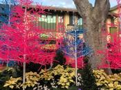 Bière artisanale REPORTAGE PHOTO: Downtown Disney 24/11/19 (des centaines d'arbres néon plastique, Street Eats Bistro bien d'autres) Mousse bière