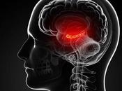 Mort passe dans corps durant dernières minutes