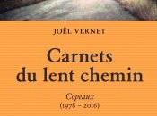 Décembre 2010 Joël Vernet, Carnets lent chemin, Copeaux (1978-2016)