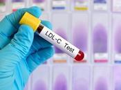 CHOLESTÉROL menace santé cardiovasculaire début l’âge adulte