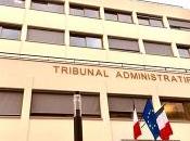 Annulation d'autorisation commercialisation pesticides (sulfoflaxor) tribunal administratif Nice procède application volontariste principe précaution