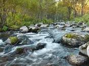 Était-ce neige (suite