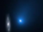 comète interstellaire Borisov Hubble