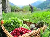 PRÉVENTION l’ALIMENTATION Mais comment mesurer apports réels nutriments