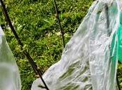 Début d’interdiction partielle sacs plastique Thaïlande