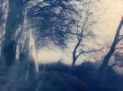 grand coup fraîcheur